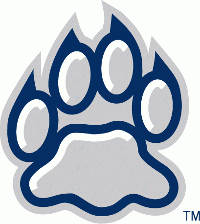 New Hampshire Wildcats 2000-Pres Alternate Logo t shirts iron on transfers v3
